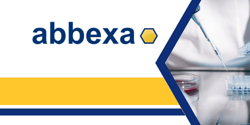 Abbexa – High quality 1° and 2° antibodies, ELISA kits, proteins and peptides