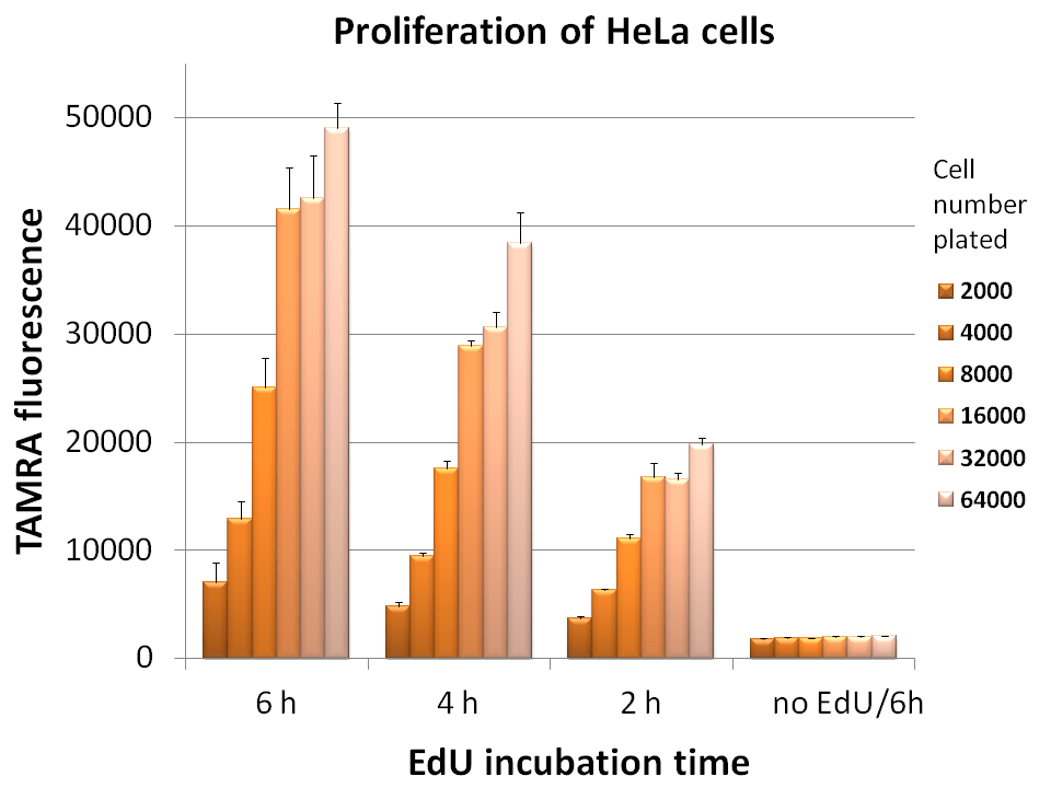 HTS Kit Proliferation HeLa Cells