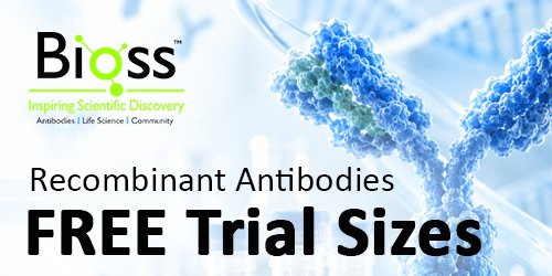 Bioss – Free Recombinant Antibody Samples