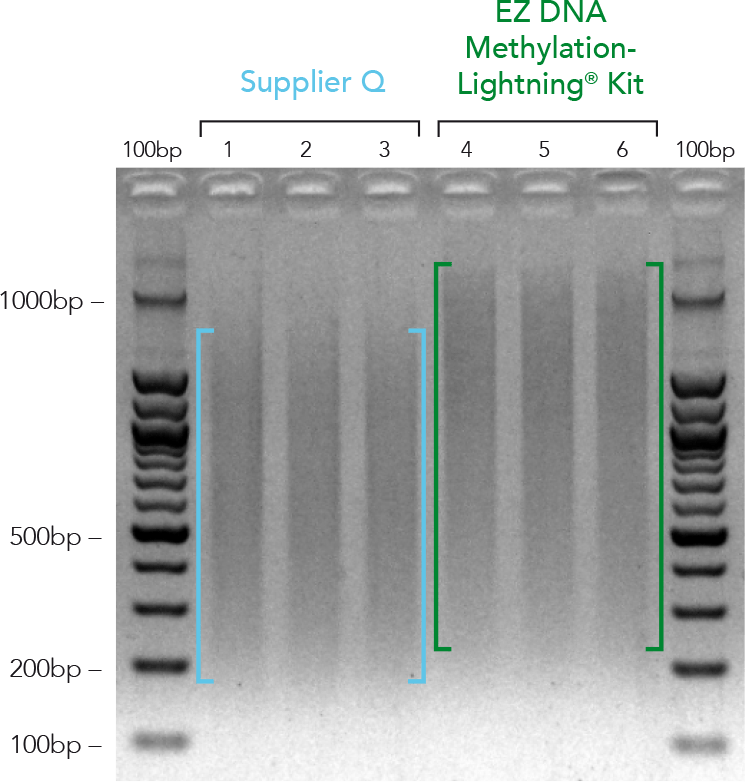 EZ-Methylation-96_Intact DNA