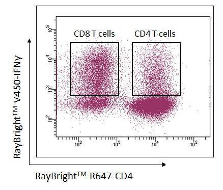 Flow Cytometry intracellular staining Kit