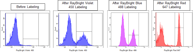 Flow Cytometry RayBright-labeling