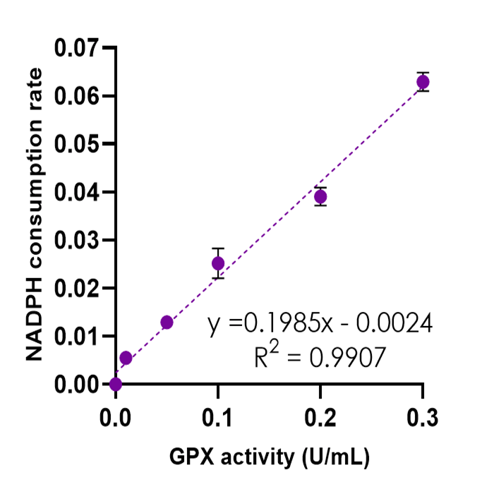 GPX_18062026
