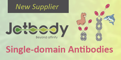 Jotbody – single-domain antibodies | Nanobodies