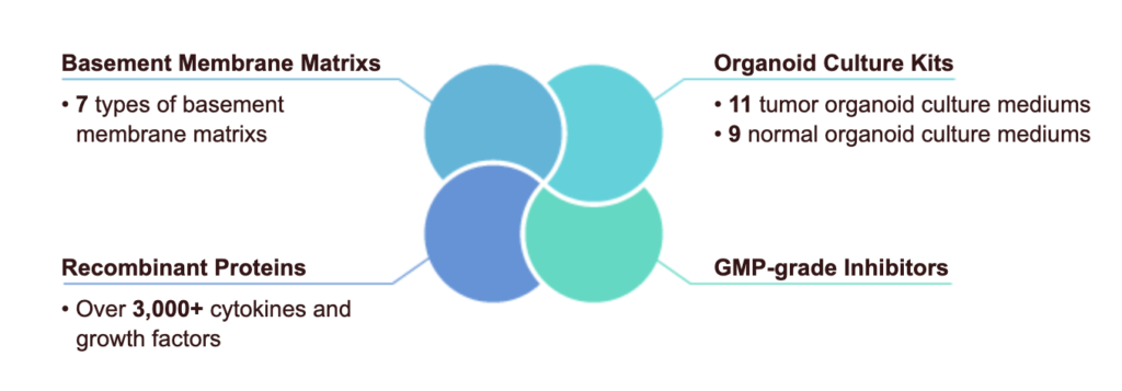 Matrix Mce MedChem Express (MCE) - Organoid Culture | Lucerna-Chem AG
