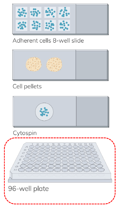 NaveniFlex Cell Sample Types