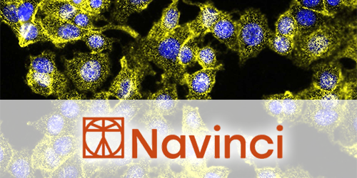 Navinci – NaveniFlex™ Cell, new PLA optimized for cells