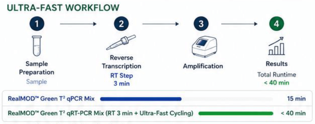 RealMOD™ Workflow