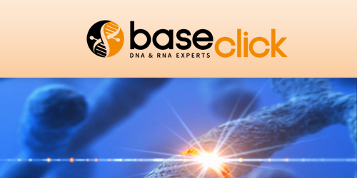baseclick – Click chemistry for streamlined bioconjugation