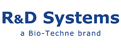 rndsystems